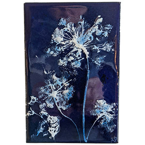 Détail du tableau émaillé bleu de la collection  les végétales colorées