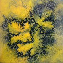 Charger l&#39;image dans la galerie, émaux d&#39;orfèvre vitrifiés sur cuivre . Tableau  contemporain, représentation d&#39; empreintes végétales dans des camaieux de jaunes
