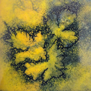 émaux d'orfèvre vitrifiés sur cuivre . Tableau  contemporain, représentation d' empreintes végétales dans des camaieux de jaunes